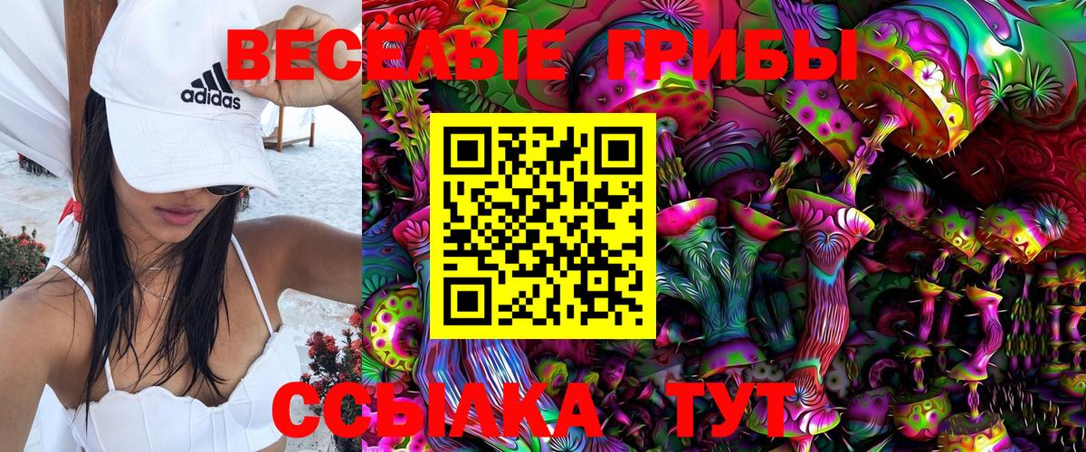 Галлюциногенные грибы Psilocybe Когалым