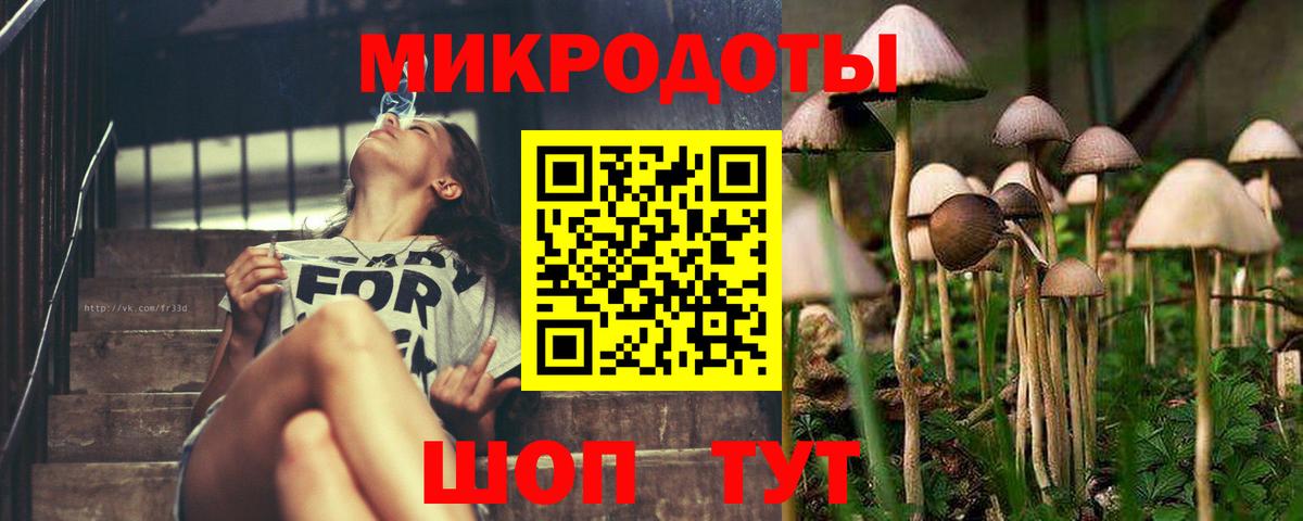 Когалым  Галлюциногенные грибы GOLDEN TEACHER  Псилоцибиновые грибы мухоморы  Вход с VPN 